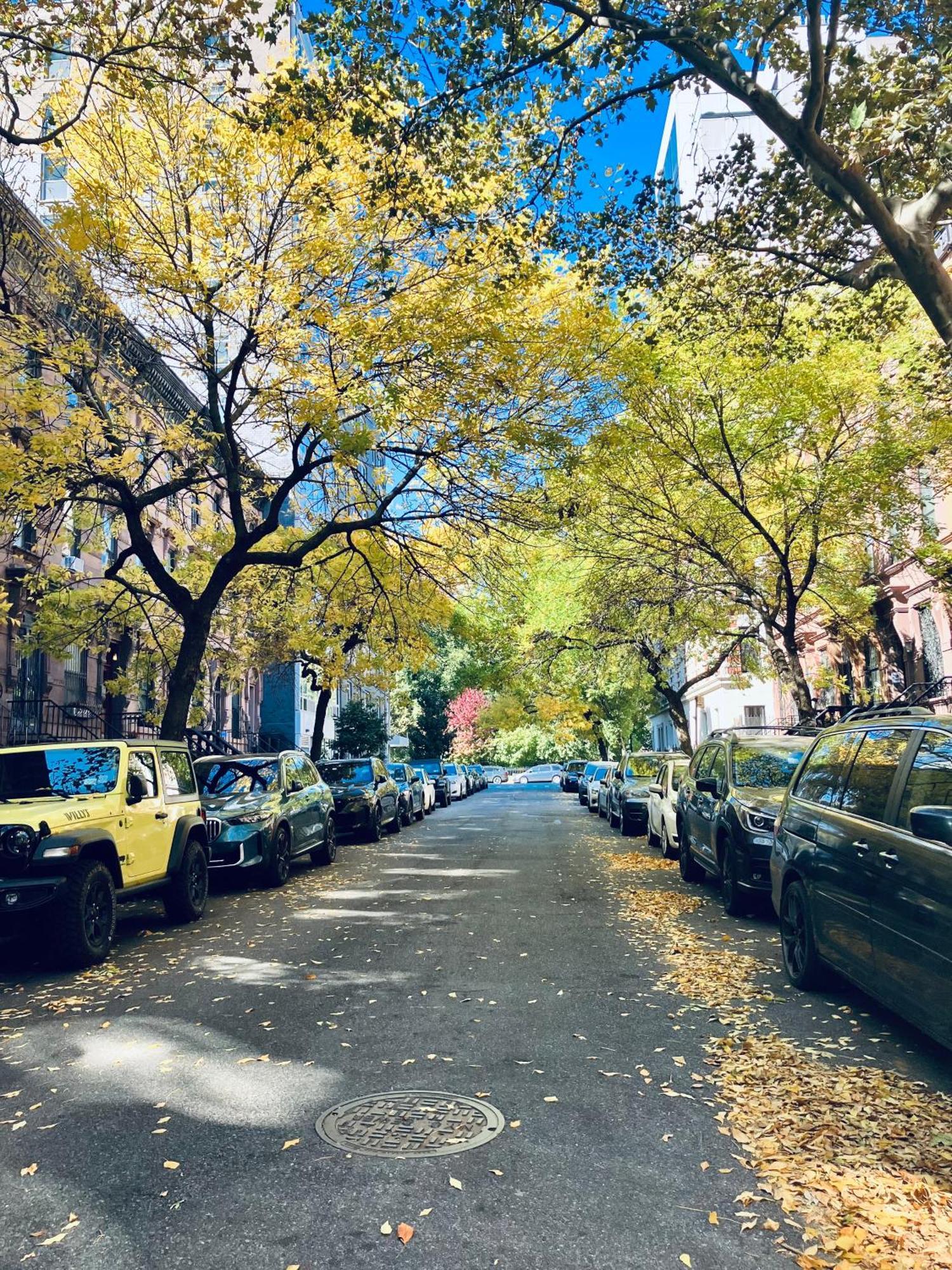 Harlem Grand Panzió New York Kültér fotó