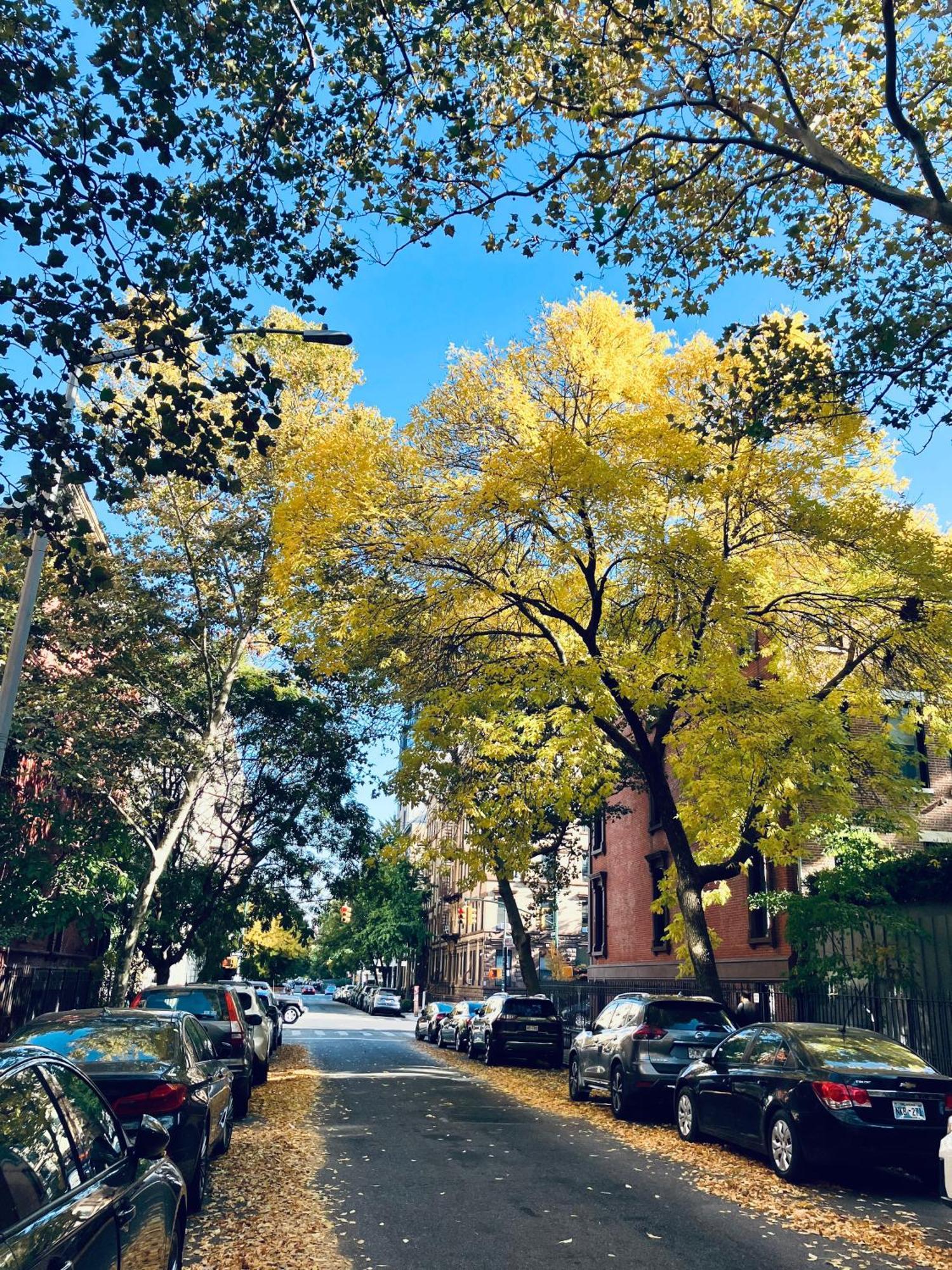 Harlem Grand Panzió New York Kültér fotó